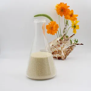 Edible Bovine Beef Halal of Gelatin for Meat Dairy Jelly Confectionery 160-280 Bloom